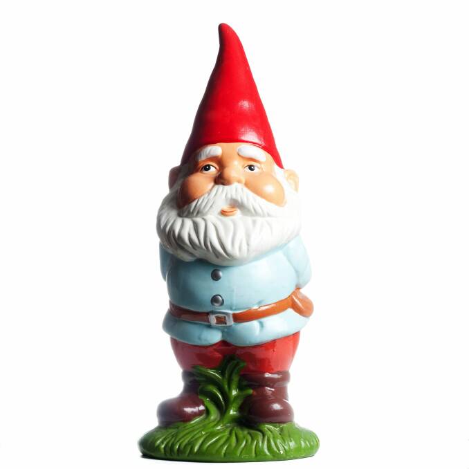 Thinking about giving a garden gnome as a gift this Christmas? Perhaps reconsider... Photo: Supplied
