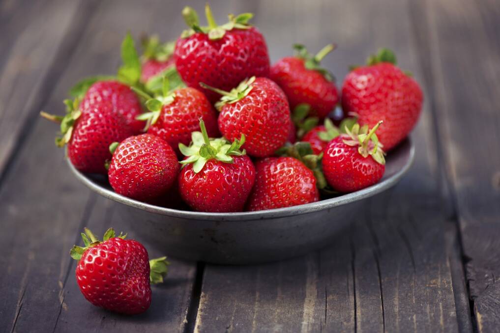 Most varieties of strawberries will provide a crop from mid spring through to late autumn. Photo: Moncherie