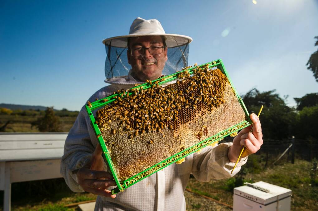 ACT Beekeepers Association president Cormac Farrell. Photo: Dion Georgopoulos