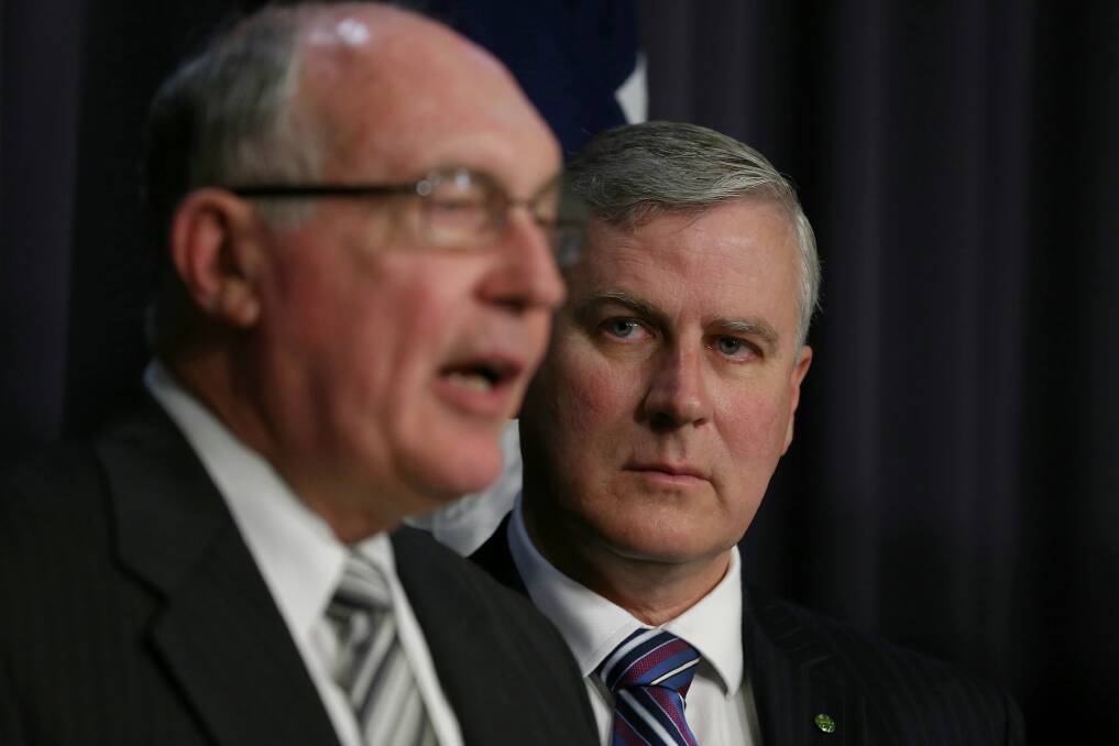 Some see Michael McCormack as the rightful successor to Warren Truss, after all, he's not Barnaby. Photo: Alex Ellinghausen