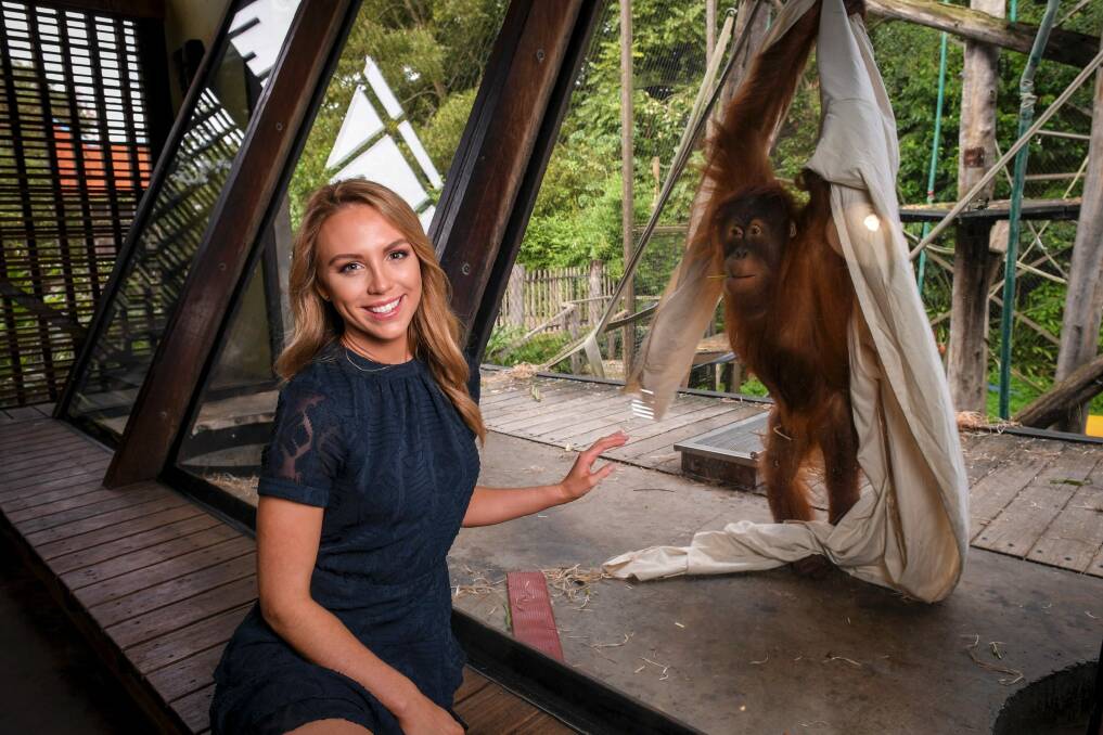 Lyndl Kean is heading to Indonesia to work with The Orangutan Project at a sanctuary in Sumatra. Photo: Eddie Jim
