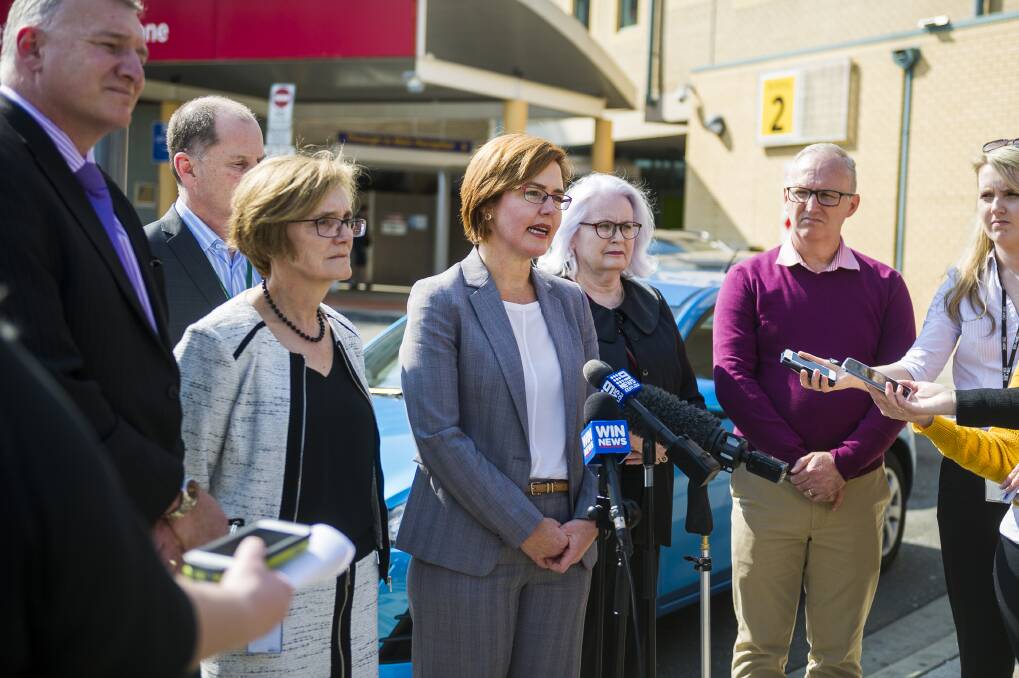 Health Minister Meegan Fitzharris announced an independent review on Monday. Photo: Dion Georgopoulos