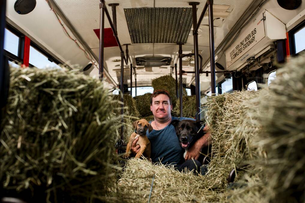 Peter Duffy is using his pink party bus to transport hay and feed to farmers in need.  Photo: Jamila Toderas