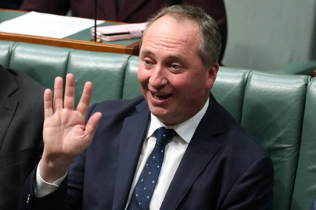 Deputy Prime Minister Barnaby Joyce in Parliament this week. Photo: Andrew Meares