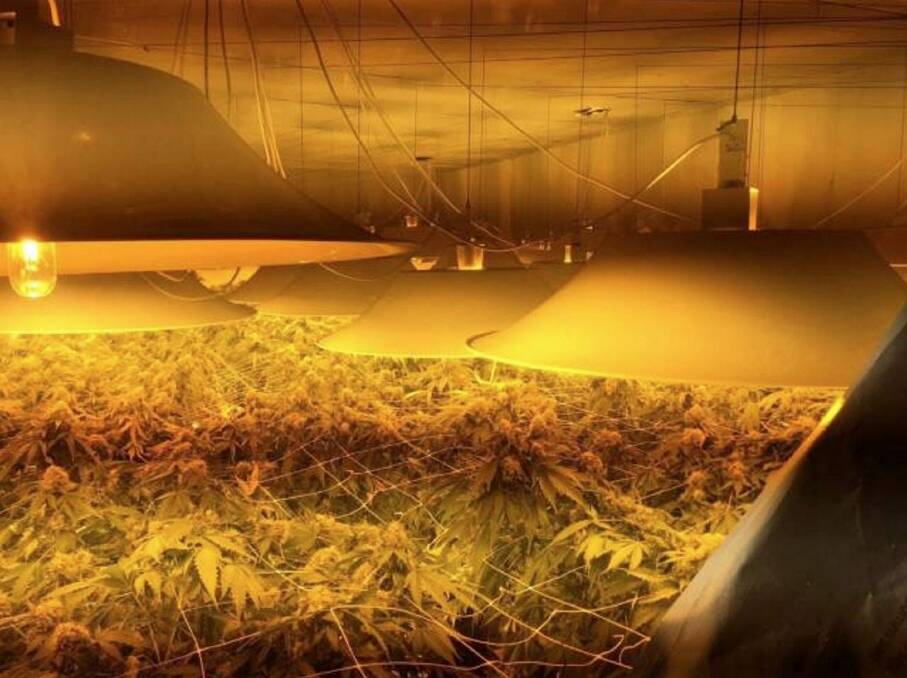 Police released images of the hydroponic cultivation "farm" in Port Kembla. Photo: NSW Police