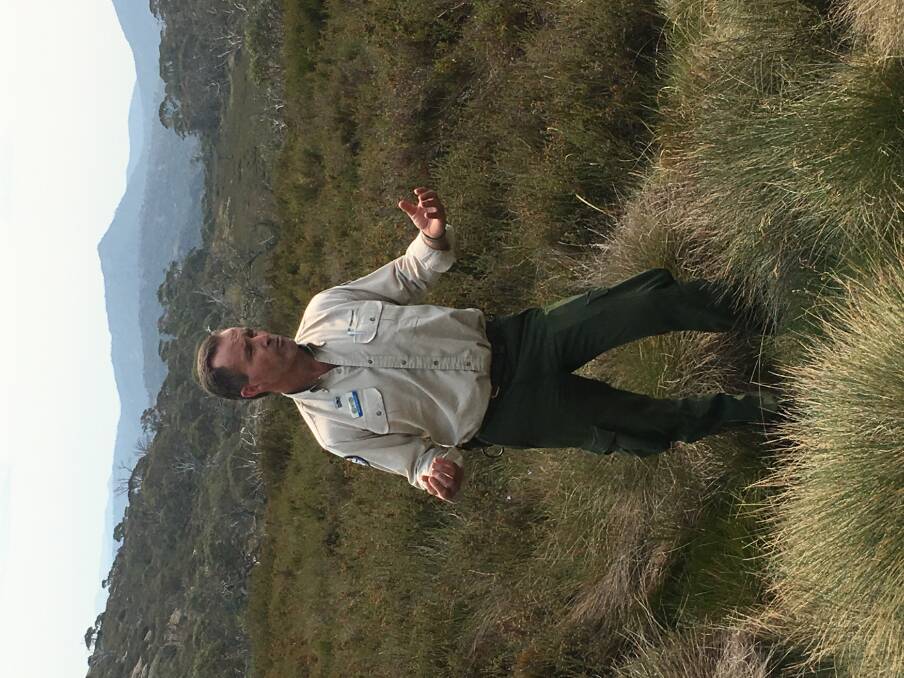 ACT Parks manager Brett McNamara, amid the fragile moss high in the mountains to Canberra's west Photo: Peter Brewer