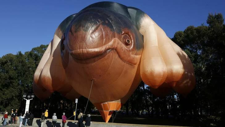 Crowd before the launch of former Canberra artist Patricia Piccinini's work Skywhale. Photo: Jeffrey Chan