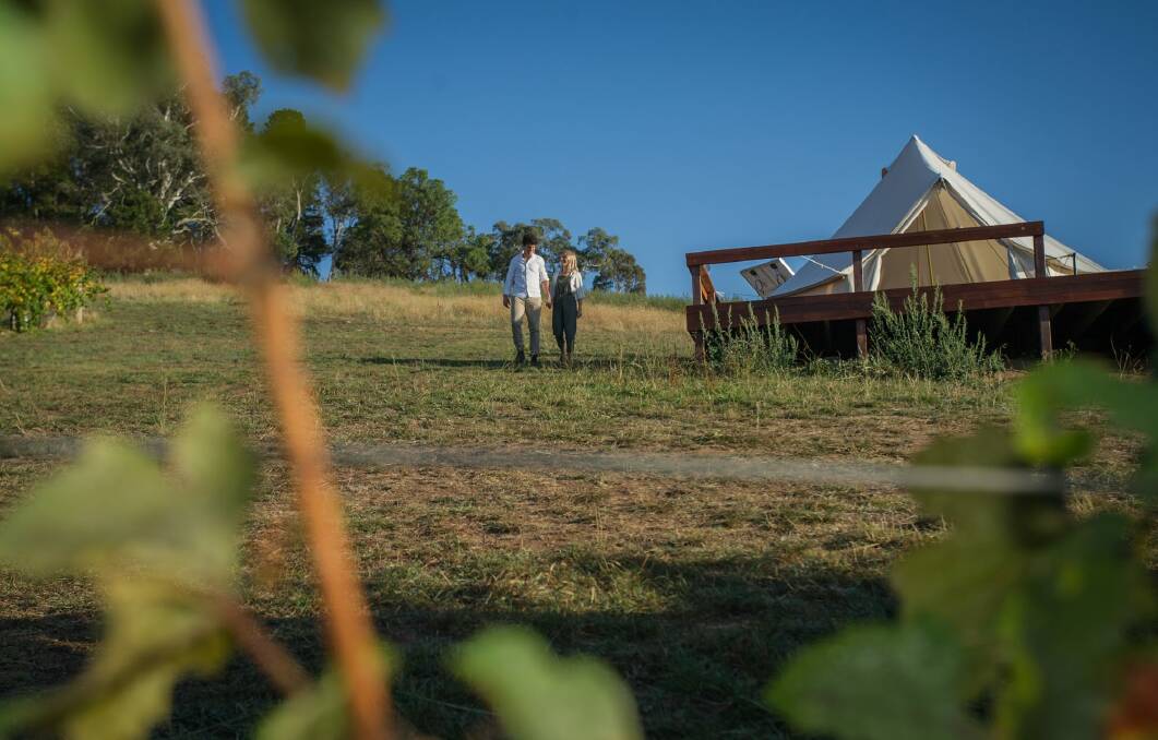 At the Naked Cubby, visitors can sip wine and sleep amongst the vines.  Photo: Karleen Minney