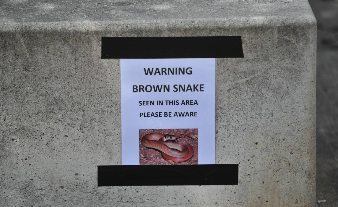 A sign near Lake Burley Griffin warning people of a brown snake that was seen in the area. Photo: Melissa Adams