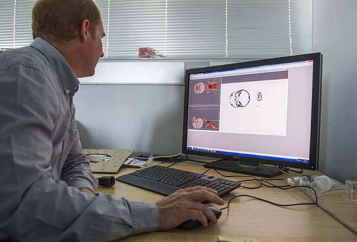 ANU Head of Applied Maths, Professor Tim Fendon, prepares a 3D file for printing.