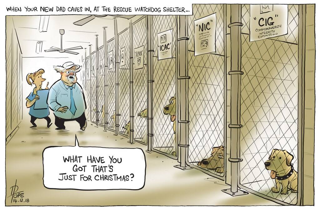 The Canberra Times cartoon for December 14 2018. Photo: David Pope