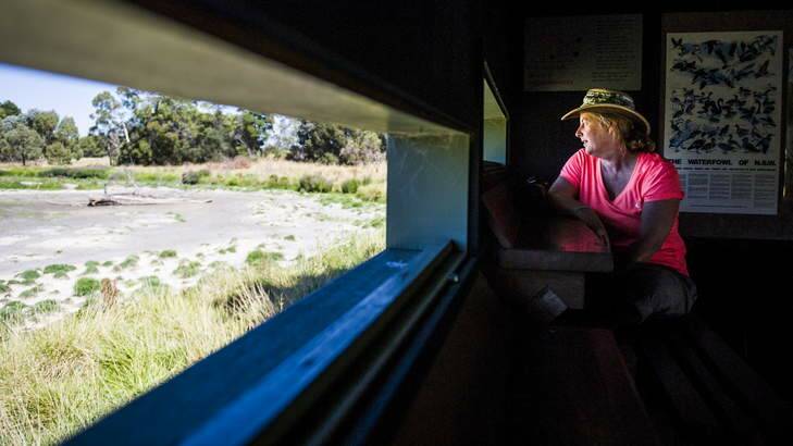 Acting RSPCA CEO, Jane Gregor, in one of the bird hides at the Jerrabomberra Wetlands. Photo: Rohan Thomson