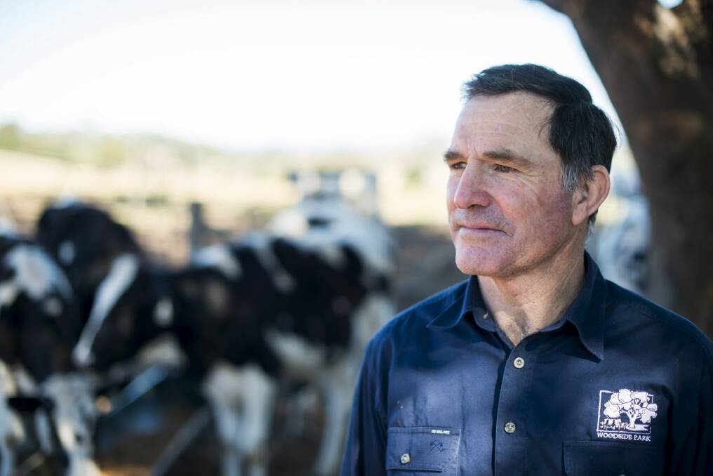 Dairy farmer Robert McIntosh on his property in Berry, NSW. Photo: Rohan Thomson