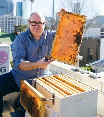 Doug Purdie with  bees at his home