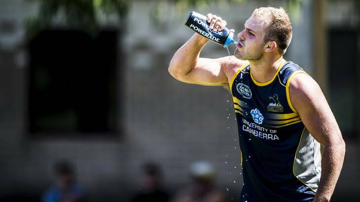 Lachlan McCaffrey cools off during Brumbies training on Tuesday morning. Photo: Rohan Thomson