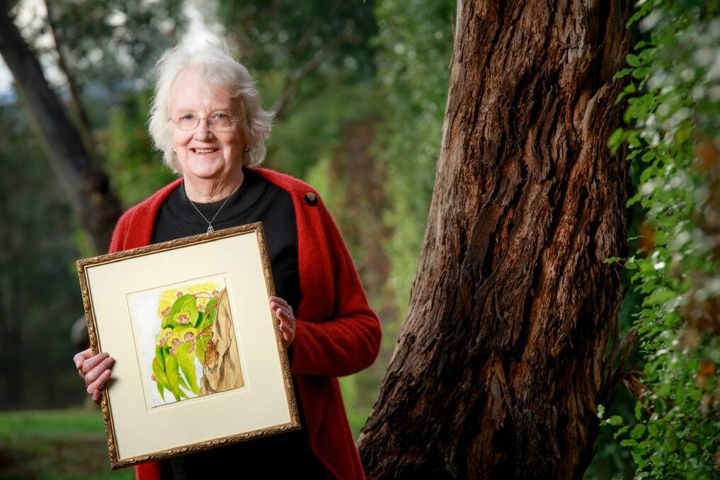 Jane Brummitt with an original May Gibbs painting.  Photo: Sitthixay Ditthavong
