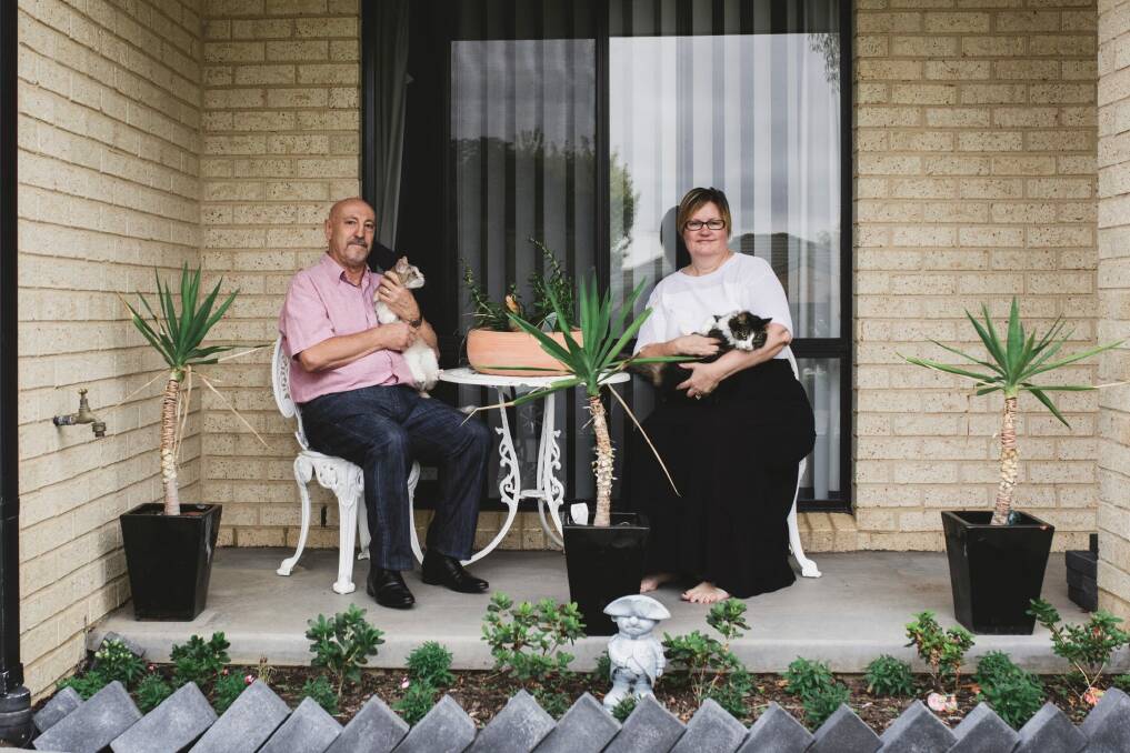 Greg and Beth Peck, who have transformed their home into a "smart home" by using Google Home device with their cats Molly and Rogue.  Photo: Jamila Toderas