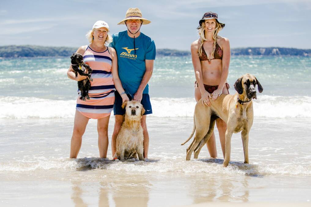 Janette and David Sloan, with Pepper and Flynn, and Belinda Wedgwood, with Delta, enjoy their time at the beach. Photo: Jamila Toderas
