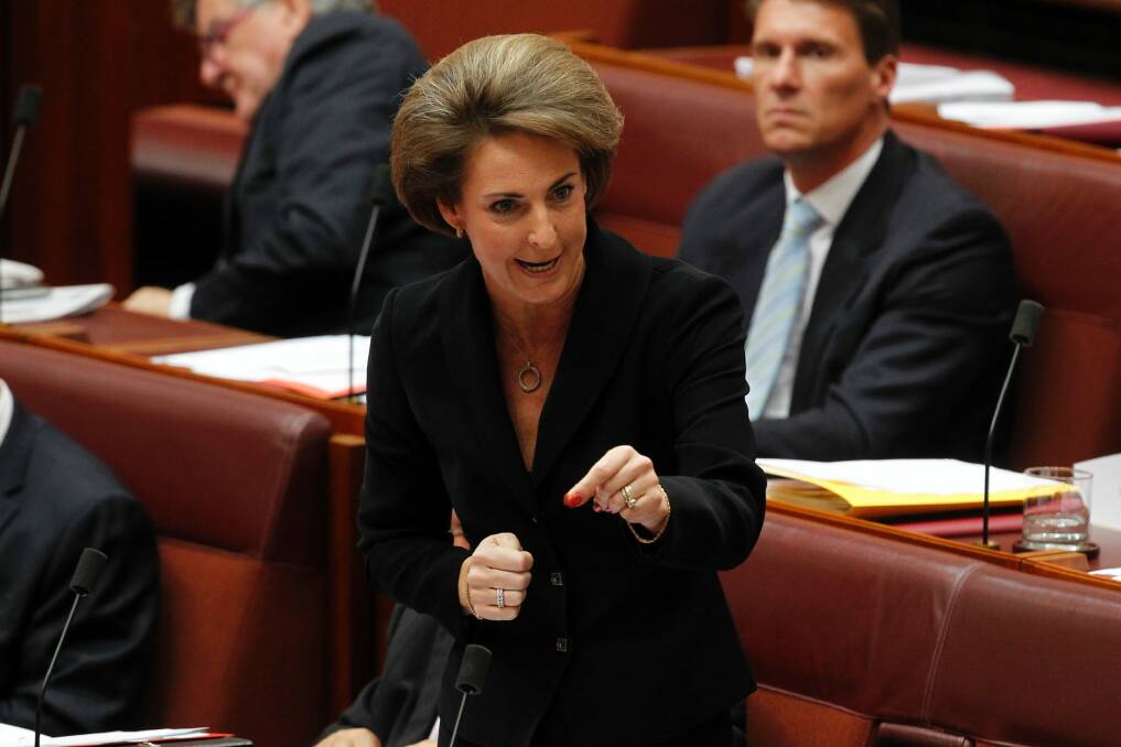 Michaelia Cash, Minister Assisting the Prime Minister for Women, has said a royal commission into domestic violence is unnecessary.  Photo: Andrew Meares