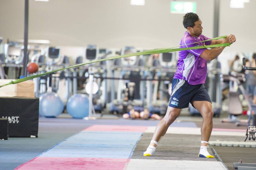 Preparing for the season ahead: Brumbies player Christian Lealiifano flexing his muscle in the gym. Photo: Jay Cronan