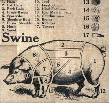 Vintage pig-butchering chart.