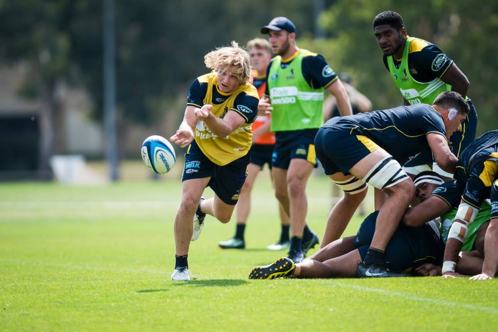 Joe Powell at Brumbies training on Tuesday. Photo: Dion Georgopoulos