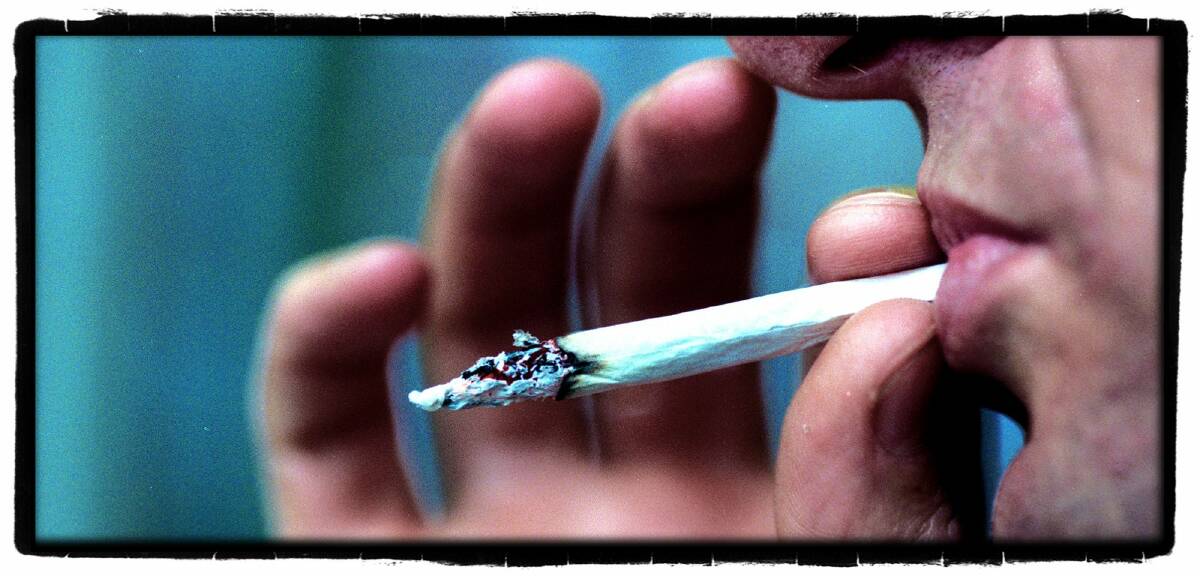 Medical marijuana could soon be legalised. Photo: Michele Mossop