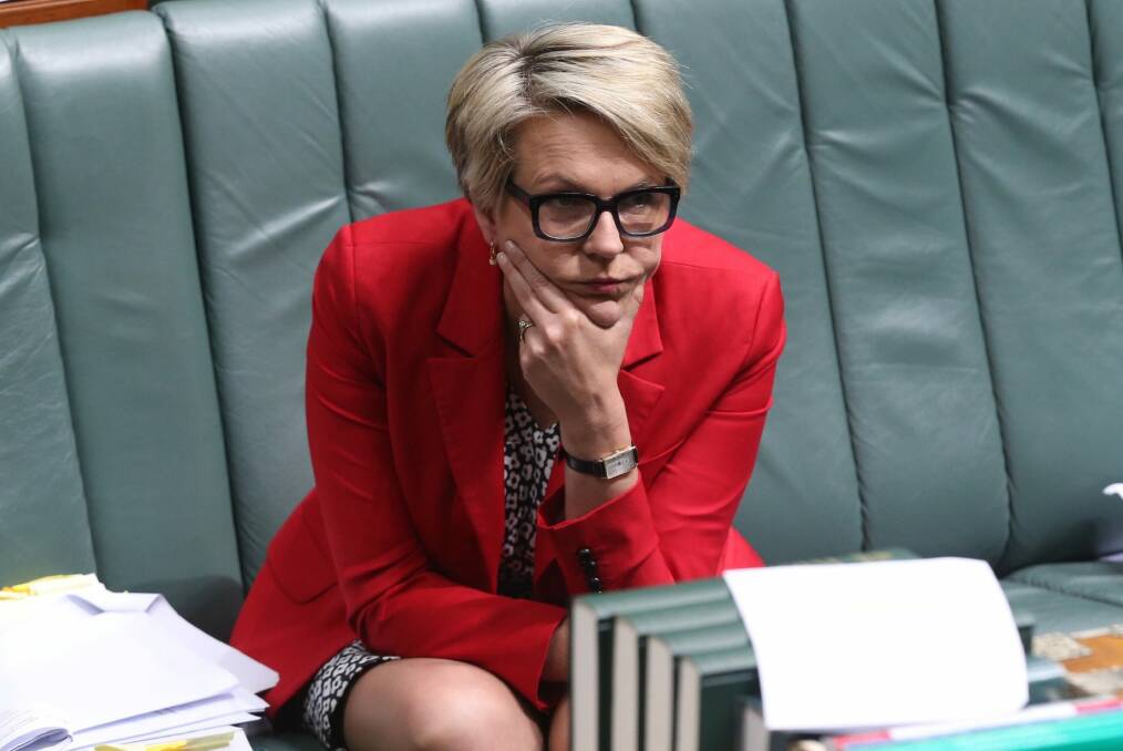 Tanya Plibersek's stance on a binding vote for Labor MPs on same-sex marriage did her untold damage. Photo: Andrew Meares