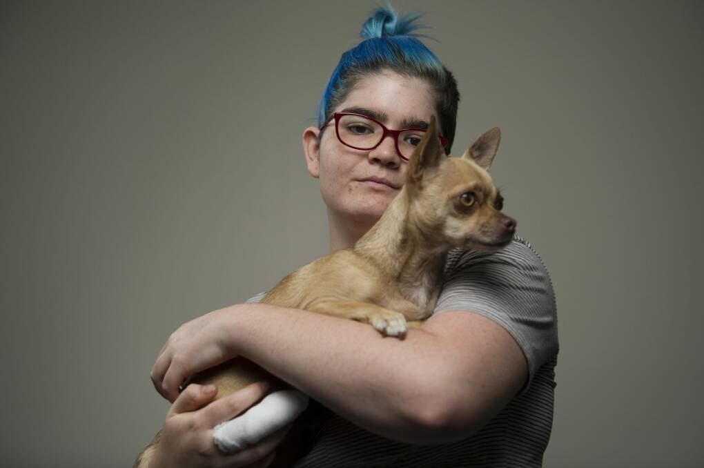 Isabelle Goldstraw with her dog Flea after an attack by two dogs killed her other pet chihuahua in her living room and left her with an injured finger.  Photo: Jay Cronan