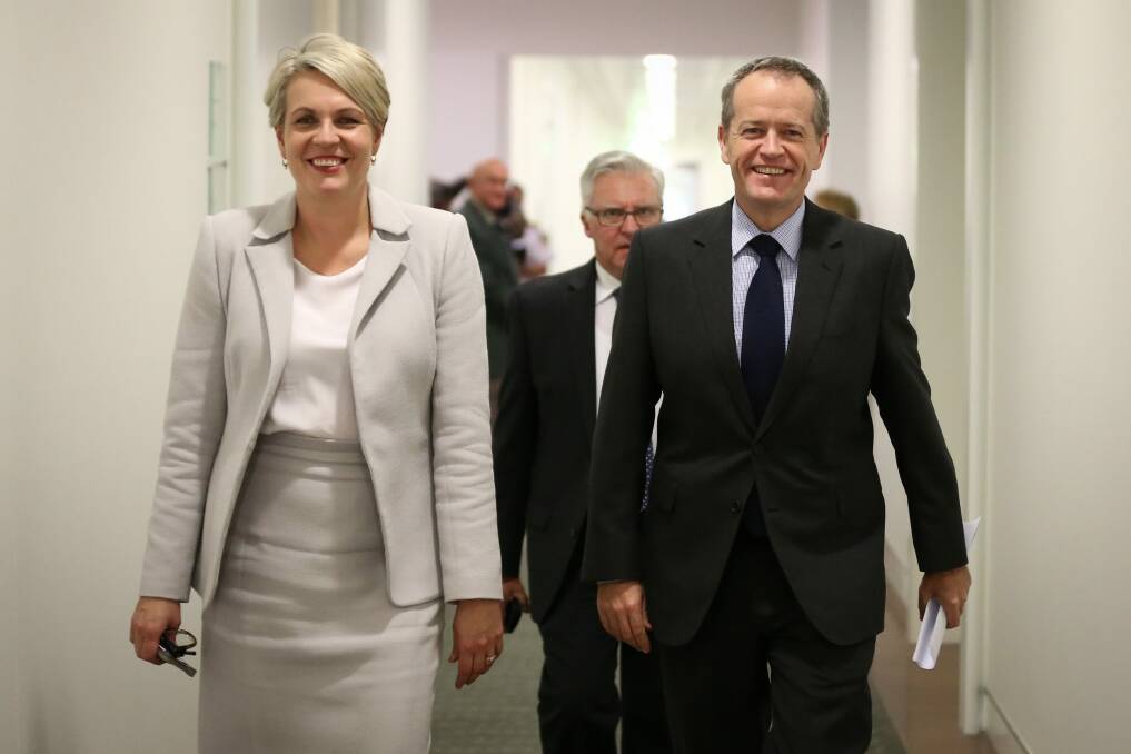 Labor's Tanya Plibersek and Bill Shorten are expected to oppose the government's planned plebiscite. Photo: Alex Ellinghausen