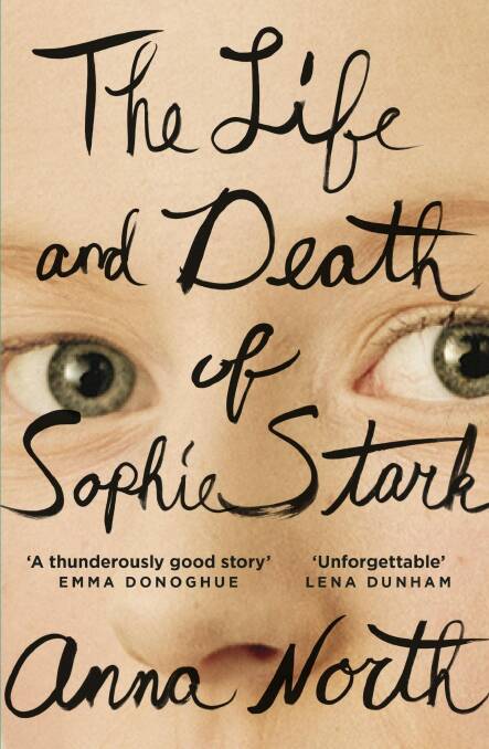 The Life and Death of Sophie Stark, by Anna North.  Photo: Supplied