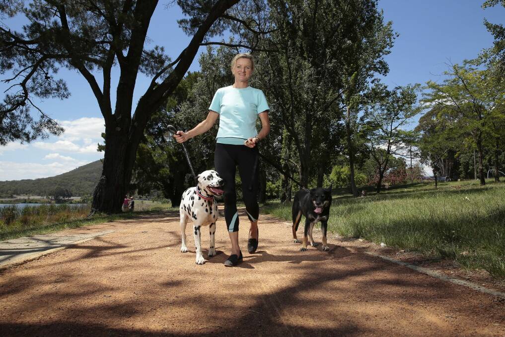 TAMS City Services director Fleur Flanery Maggie the dalmatian and Lucy the kelpie at Weston Park.  Photo: Jeffrey Chan