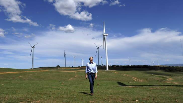 Simon Corbell says there is a lot of misinformation being peddled regarding wind farms in the region. Photo: Graham Tidy
