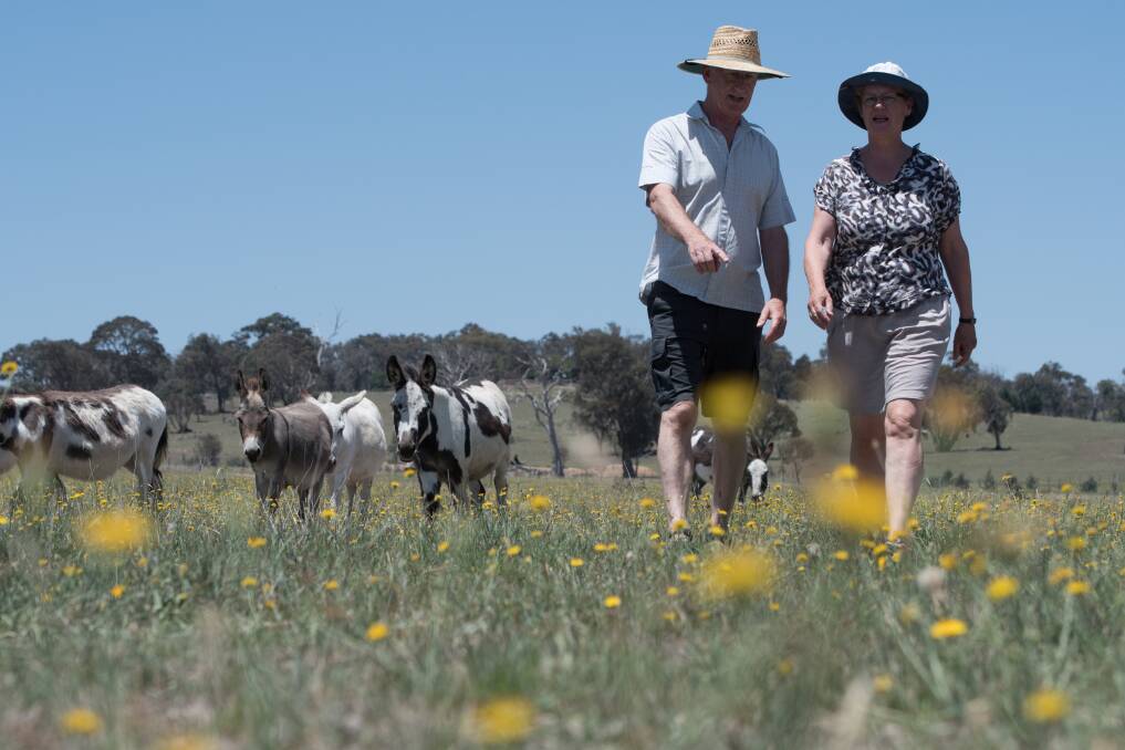 Arnold and Marchien Dekker own a hobby farm in the proposed 5km buffer zone where the Yass council wants to freeze all development. They have set aside a large section for native revegitation Photo: Elesa Kurtz