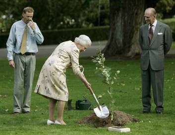 Queen Elizabeth II of Britain is watched by gardener Norm Dunn (left) and her husband Prince Philip (right) as she plants a 'Black Sally' gum tree in the grounds of Government House in Canberra, 2006. Photo: Supplied