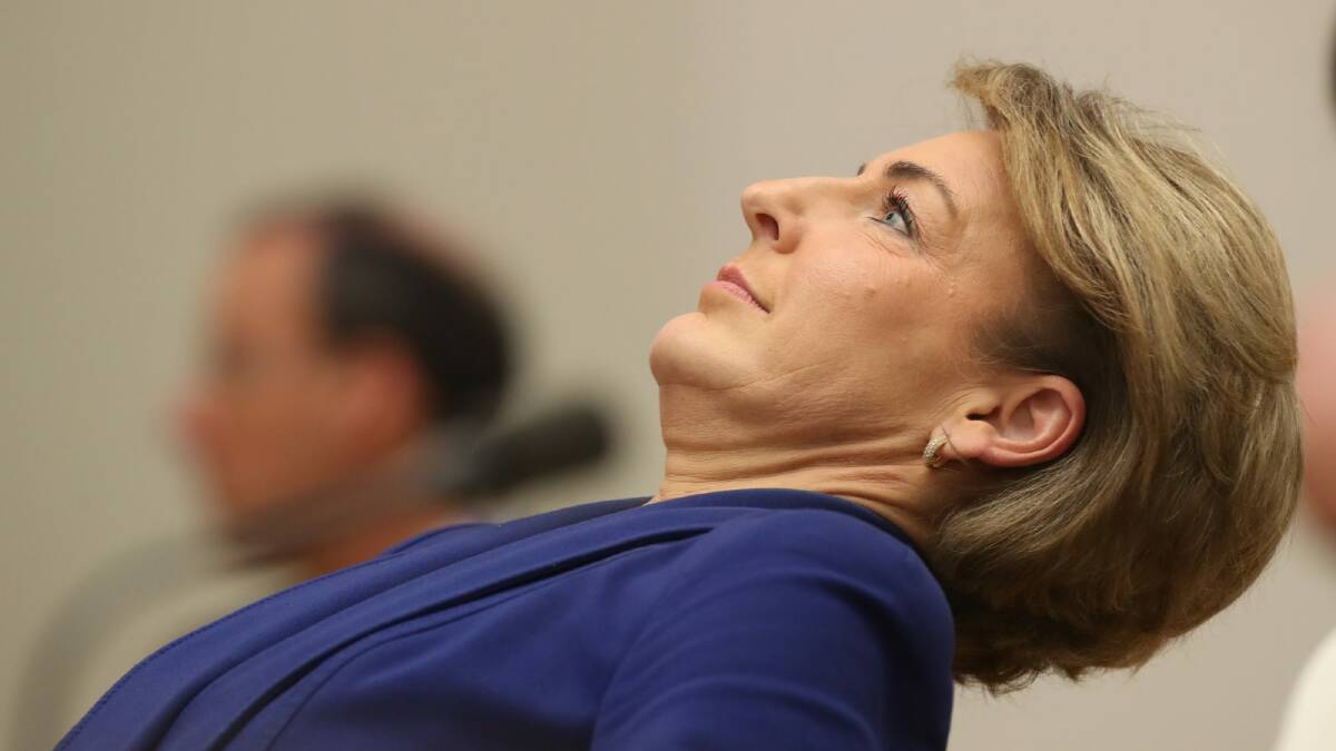 Employment Minister Michaelia Cash under fire during the estimates hearing.  Photo: Andrew Meares