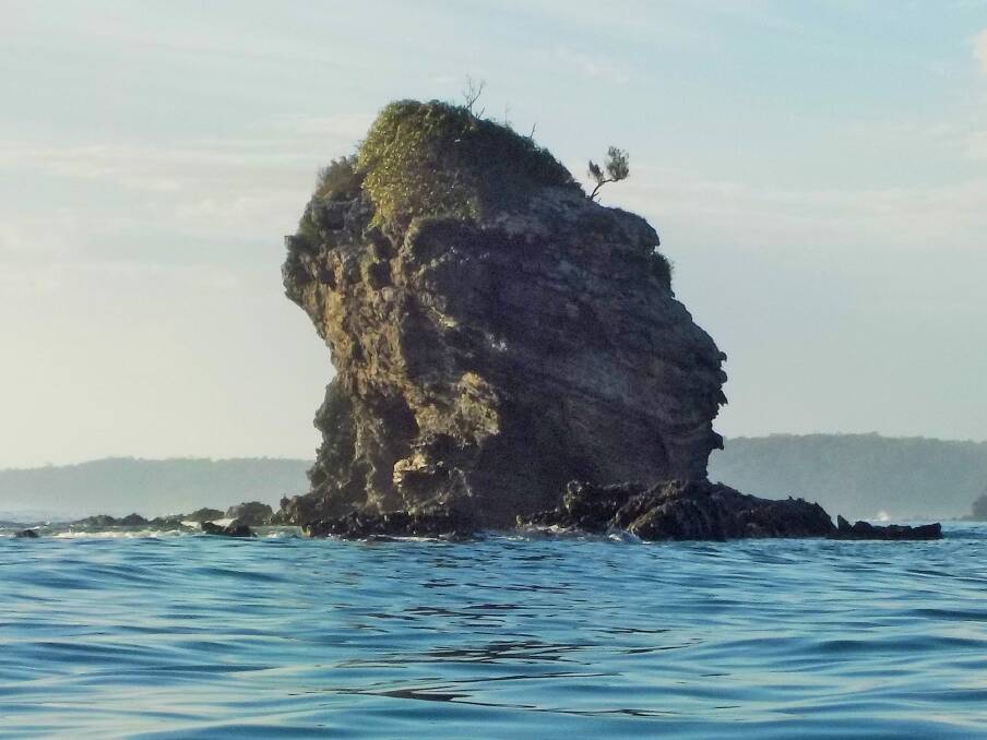 Does Snapper Island near Batemans Bay look like a monkey's head to you?  Photo: Phill Sledge
