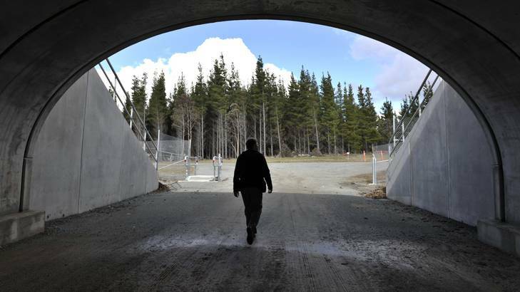 Manager of Major Captial Works ACT Ben McHugh inspects the new wildlife fence and underpass along the Kings Highway. Photo: Jay Cronan