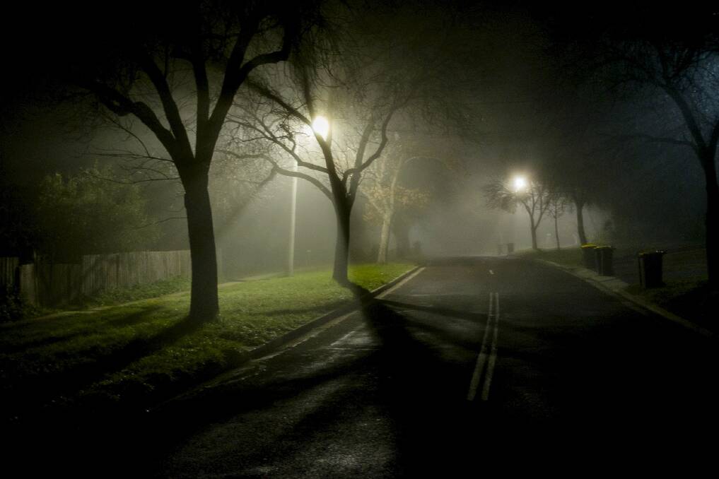 Bins and fog on an eerie Canberra street at nine on a winter's evening. Photo: Murray Foote
