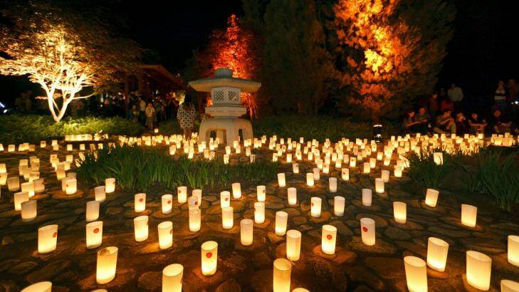 Lighting up the night: Candles glow at last year's Canberra Nara Candle Festival. Photo: Supplied