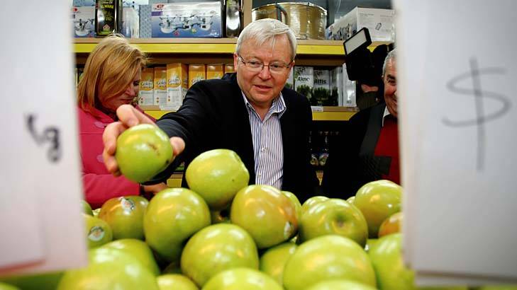 Prime Minister Kevin Rudd stacks the shelves after he delivered fruit to Abu Hussein mixed business in South Granville, Sydney. Photo: Andrew Meares