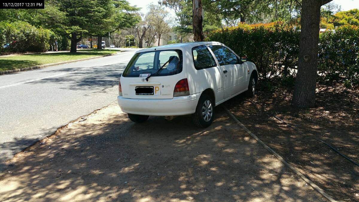 A P-plater parked in a garden bed. Photo: Access Canberra