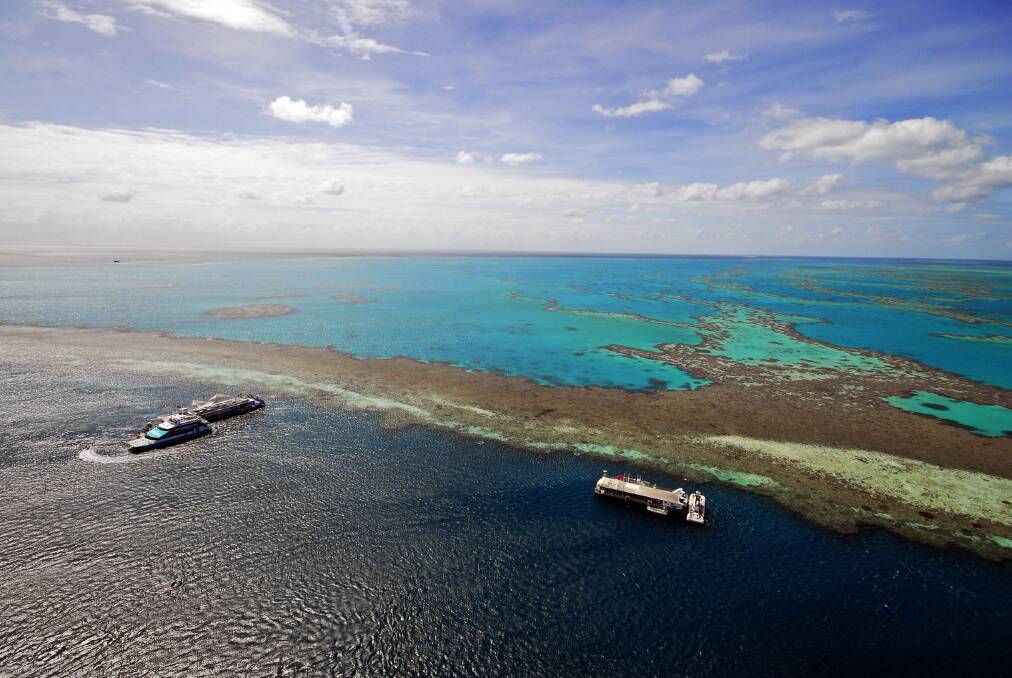 Hardy Reef, part of the Great Barrier Reef.  Photo: Tourism Queensland