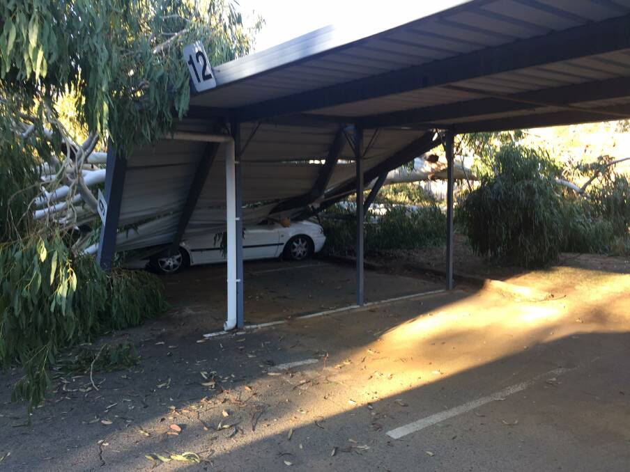 The tree crushed a carport outside an apartment building. Photo: Supplied.
