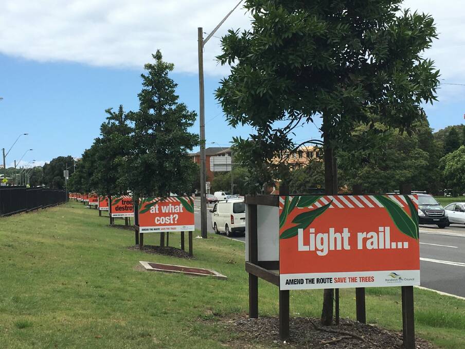 Signs protesting the removal of trees for the light rail into Randwick.
 Photo: Nick Moir