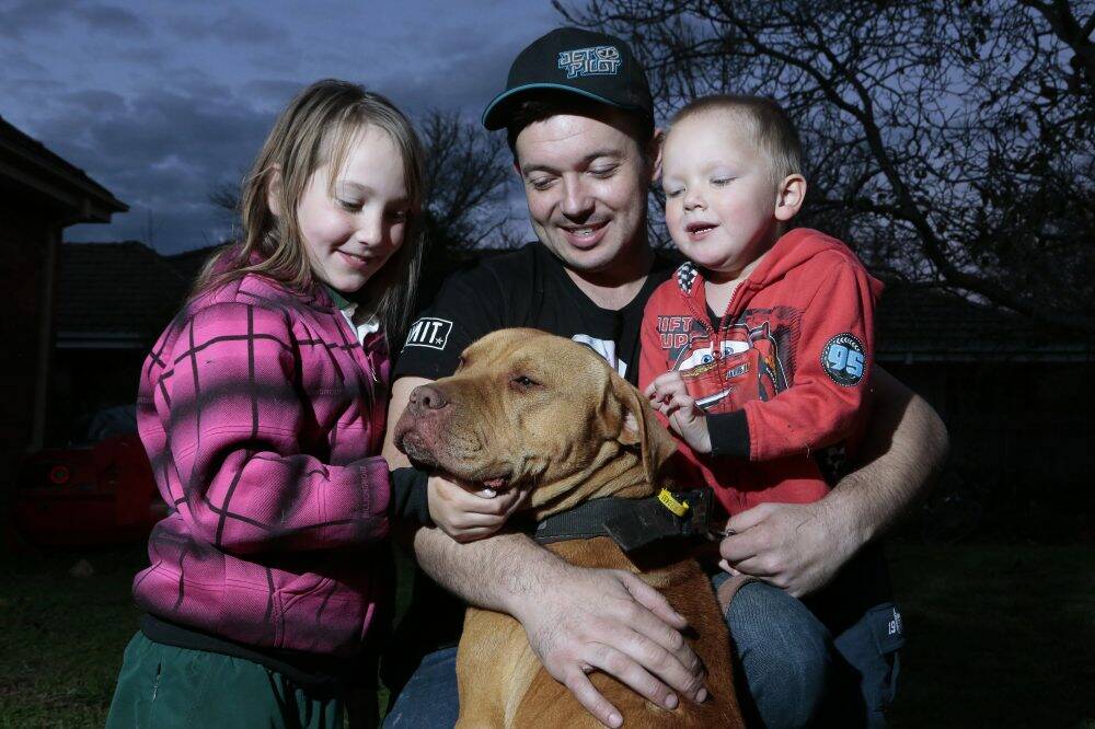  Justen Storay, centre, from Griffith with Zoe Storay, left, 8 and Declan Storay, right, 3 play with their family dog Laps in the backyard, Photo: Jeffrey Chan