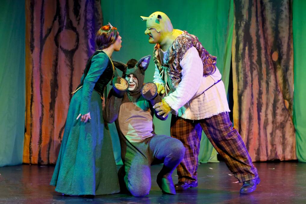From left,  Laura Murphy as Princess Fiona, Joel Hutchings as Donkey and Max Gambale as Shrek in <i>Shrek the Musical</i>. Photo: Craig and Steph Burgess