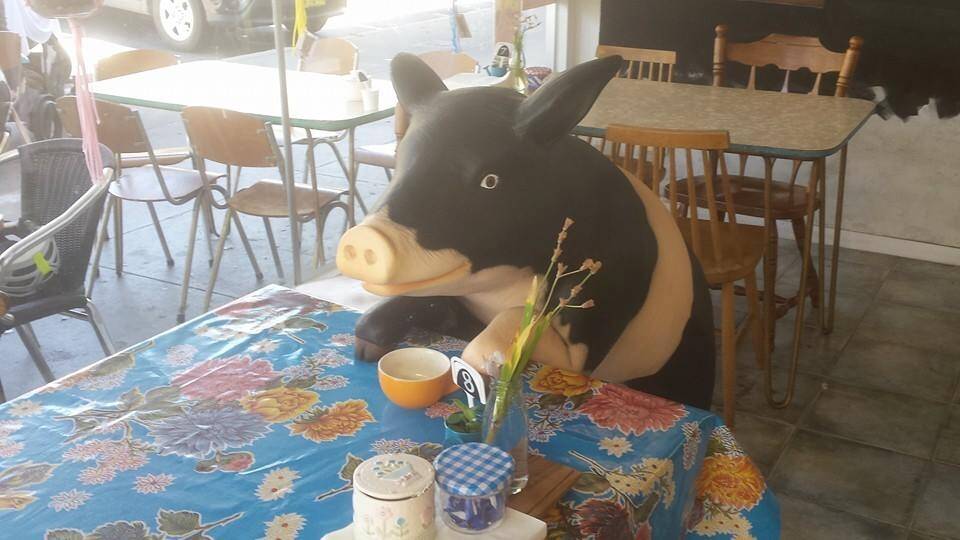 Little Oink Cafe in Cook was broken into twice in three days last week. Photo: Facebook