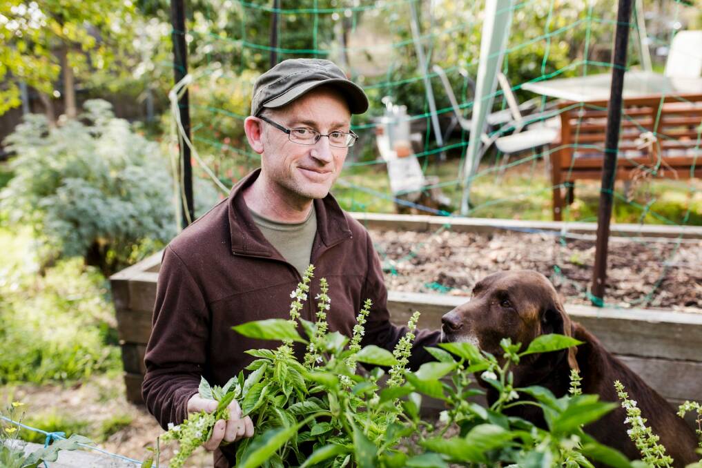 Evan Turnbull with basil in his garden. Photo: Jamila Toderas