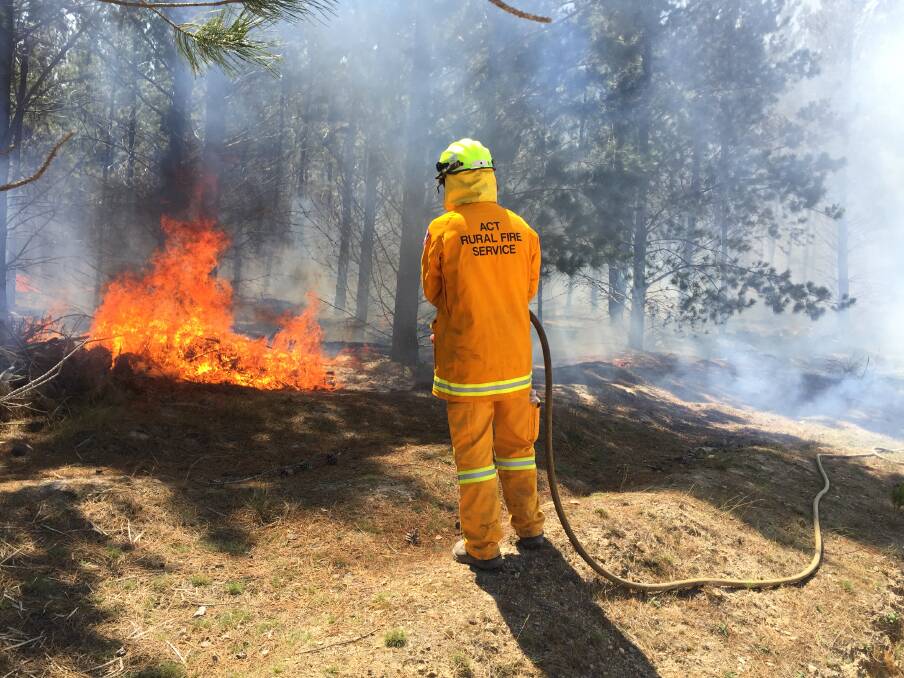 A bushfire continues to burn on Saturday at Pierces Creek Forest, west of Canberra. Photo: Blake Foden